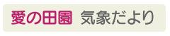 東近江市 愛東地区 気象情報